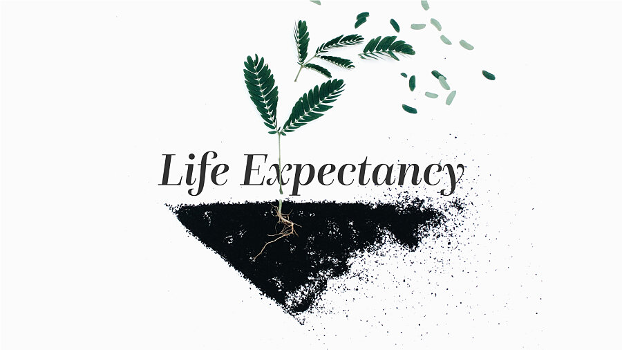 life expectancy main 1920x1080